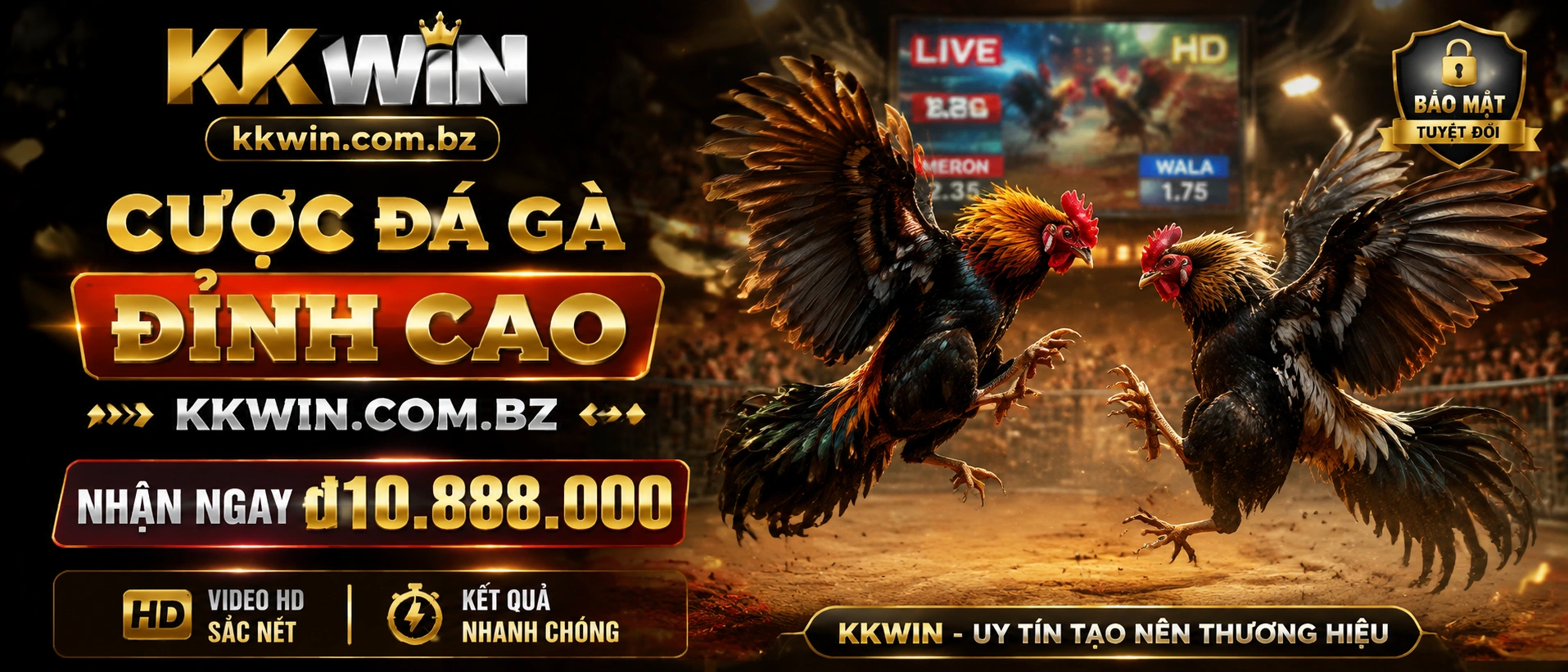 Đá Gà Cựa Dao Kkwin